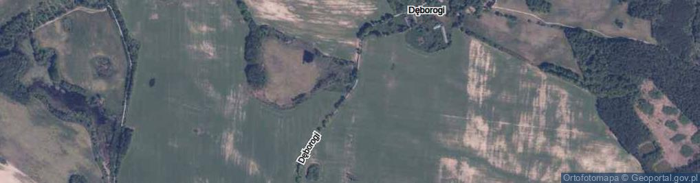 Zdjęcie satelitarne Dęborogi ul.