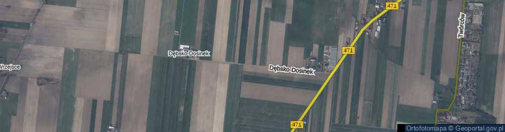 Zdjęcie satelitarne Dębsko-Dosinek ul.