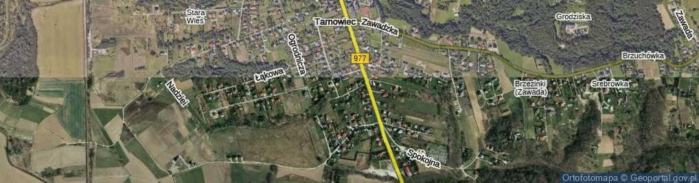 Zdjęcie satelitarne Dembnicka ul.