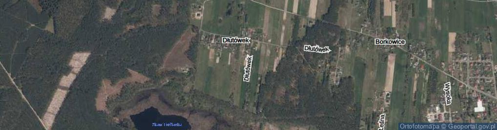 Zdjęcie satelitarne Dłutówek ul.
