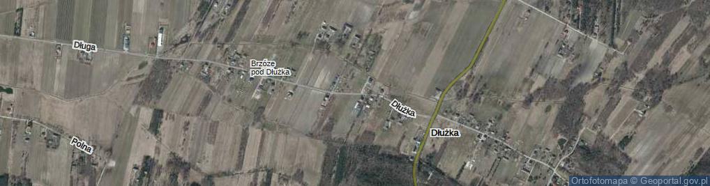 Zdjęcie satelitarne Dłużka ul.