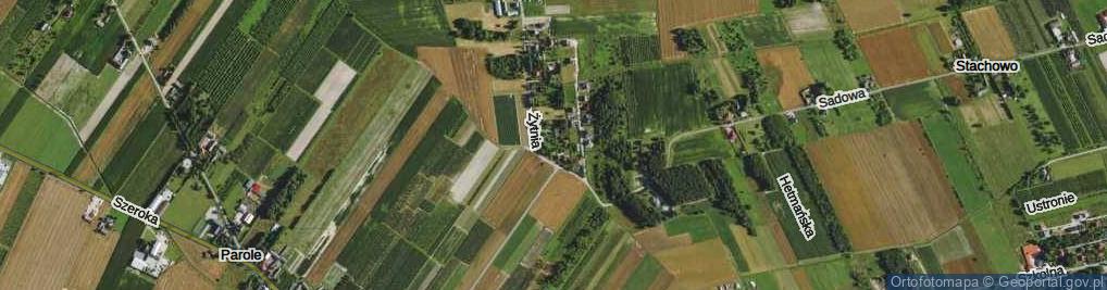 Zdjęcie satelitarne Dmuchawców ul.