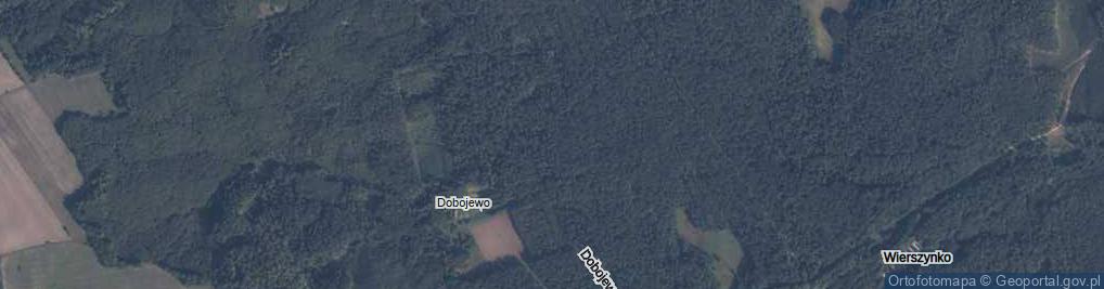 Zdjęcie satelitarne Dobojewo ul.
