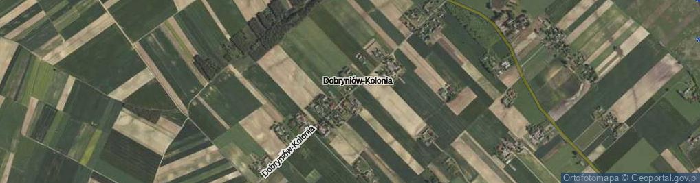 Zdjęcie satelitarne Dobryniów-Kolonia ul.