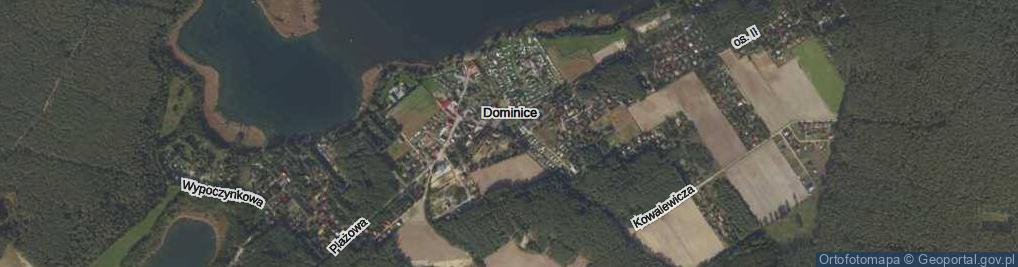 Zdjęcie satelitarne Dominice ul.
