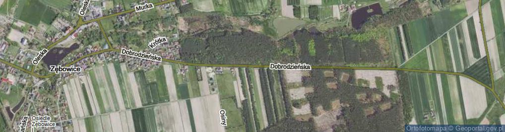 Zdjęcie satelitarne Dobrodzieńska ul.