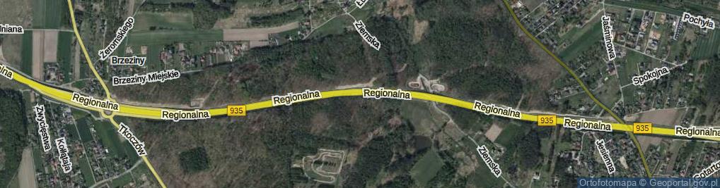 Zdjęcie satelitarne Droga Regionalna ul.
