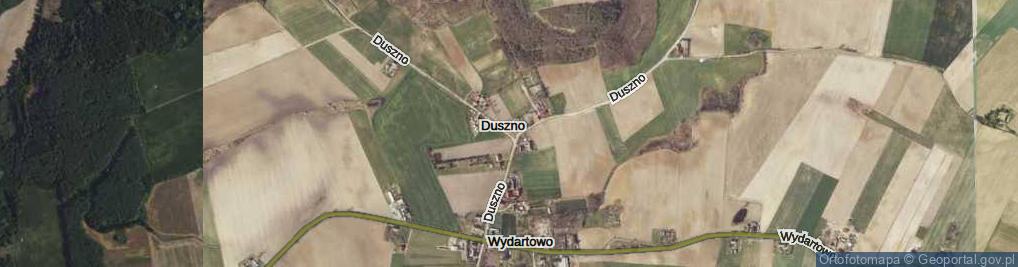 Zdjęcie satelitarne Duszno ul.