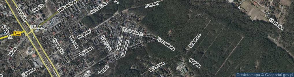 Zdjęcie satelitarne Dulczyńska ul.