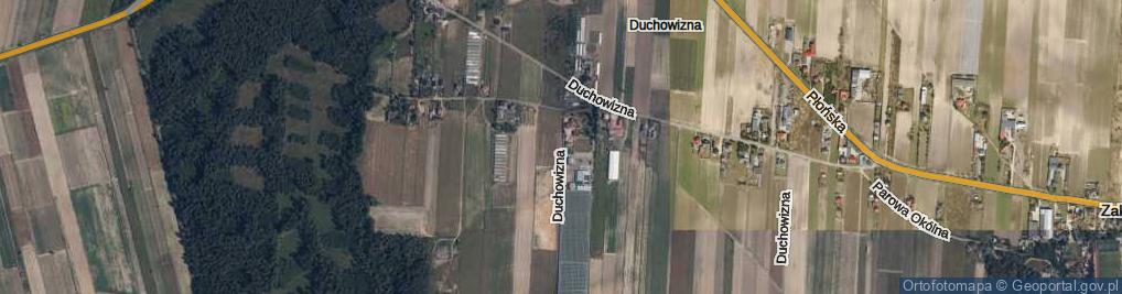 Zdjęcie satelitarne Duchowizna ul.