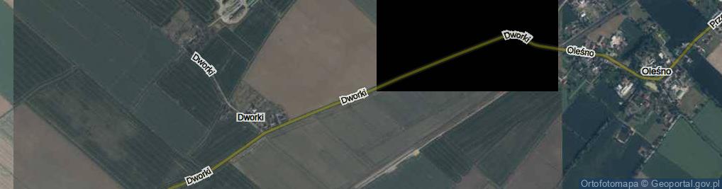 Zdjęcie satelitarne Dworki ul.
