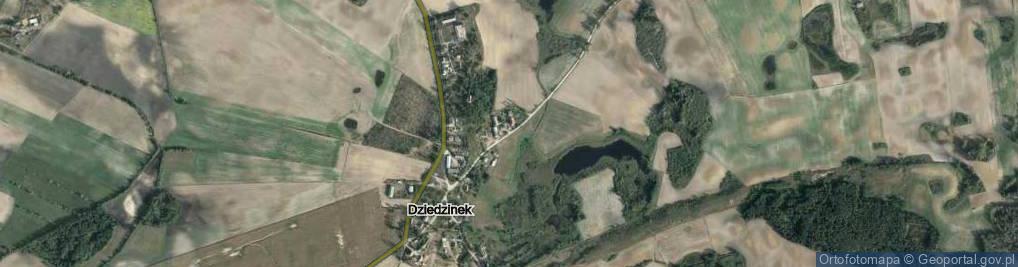 Zdjęcie satelitarne Dziedzinek ul.