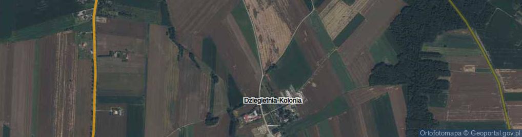 Zdjęcie satelitarne Dziegietnia-Kolonia ul.