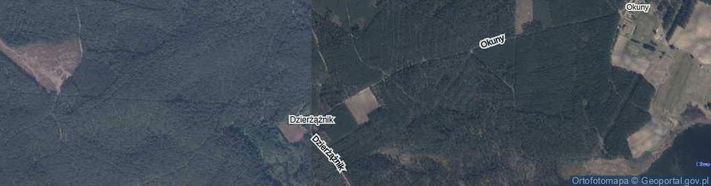 Zdjęcie satelitarne Dzierżążnik ul.