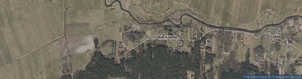 Zdjęcie satelitarne Dzikie-Kolonia ul.