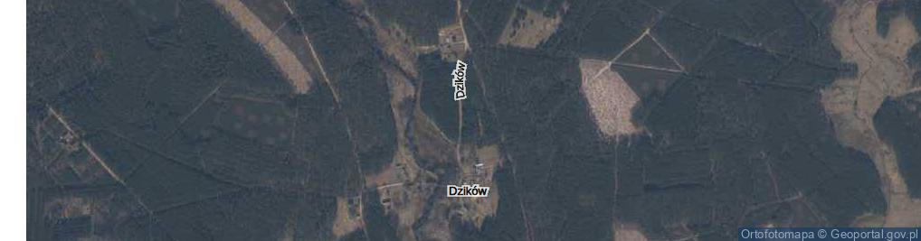 Zdjęcie satelitarne Dzików ul.