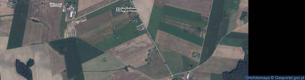 Zdjęcie satelitarne Dzięgielewo ul.