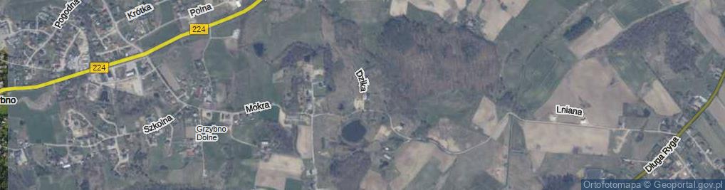 Zdjęcie satelitarne Dzika ul.