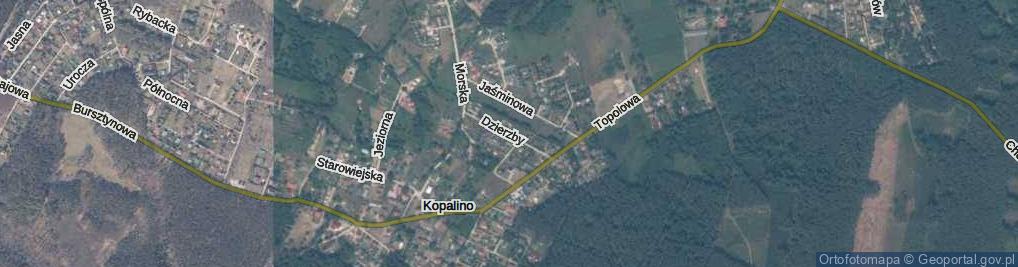Zdjęcie satelitarne Dzierzby ul.