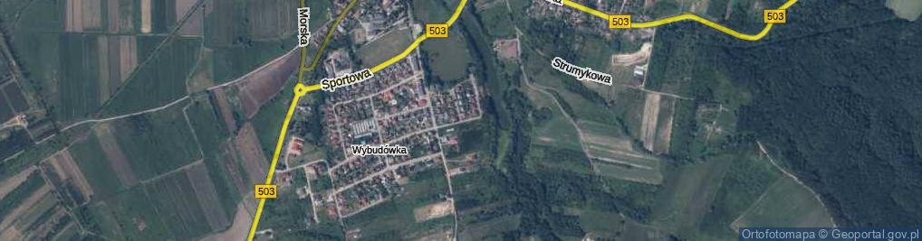 Zdjęcie satelitarne Działyńskiego Jana Ignacego ul.