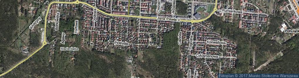 Zdjęcie satelitarne Dzwoneczka ul.