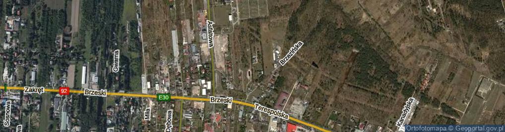 Zdjęcie satelitarne Dzika ul.