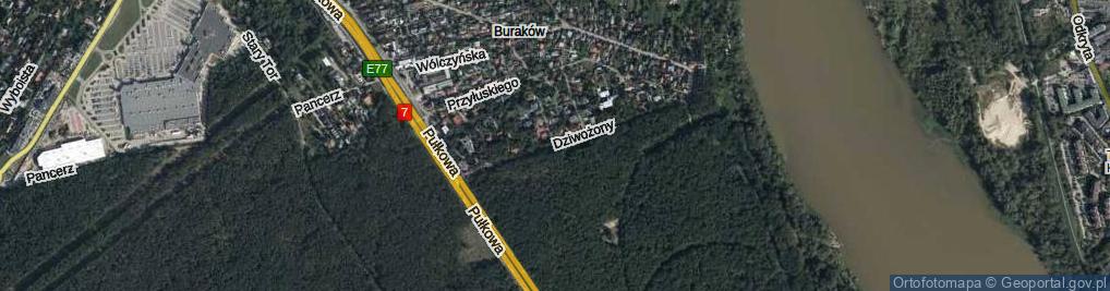 Zdjęcie satelitarne Dziwożony ul.
