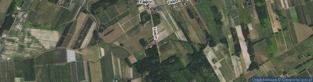 Zdjęcie satelitarne Falęcin ul.
