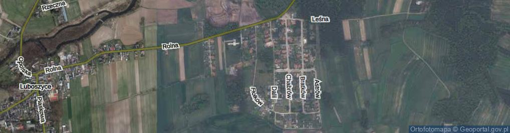 Zdjęcie satelitarne Fiołków ul.