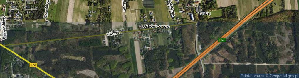 Zdjęcie satelitarne Forsycji ul.