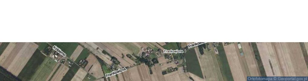 Zdjęcie satelitarne Frankowizna ul.