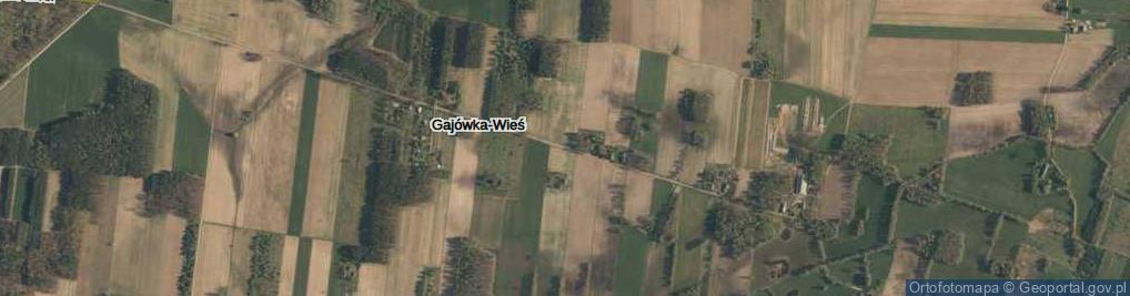 Zdjęcie satelitarne Gajówka-Wieś ul.