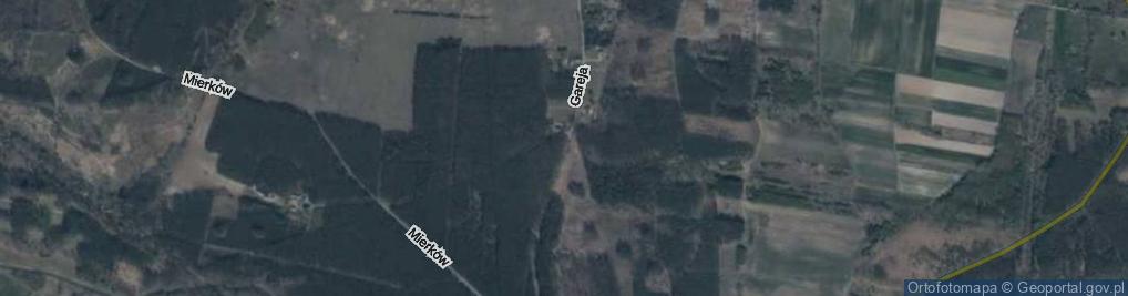 Zdjęcie satelitarne Gareja ul.