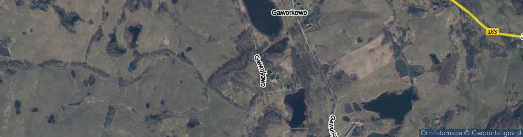 Zdjęcie satelitarne Gaworkowo ul.