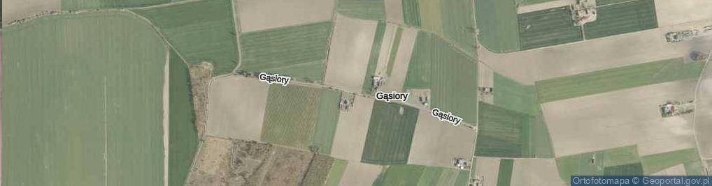 Zdjęcie satelitarne Gąsiory ul.
