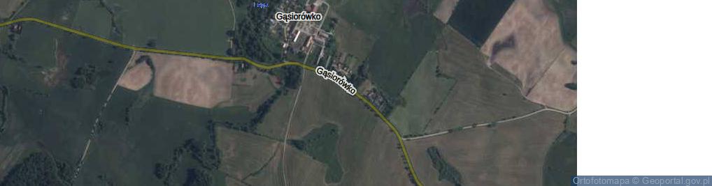 Zdjęcie satelitarne Gąsiorówko ul.