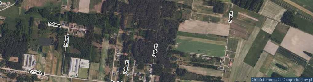 Zdjęcie satelitarne Gajowa ul.