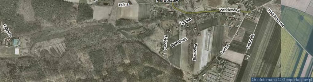 Zdjęcie satelitarne Gajowa ul.