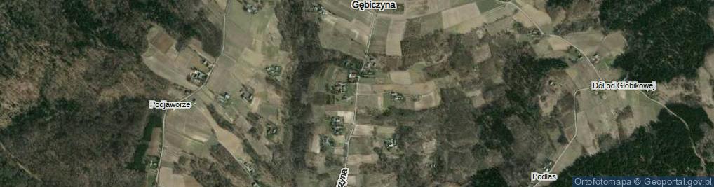 Zdjęcie satelitarne Gębiczyna ul.
