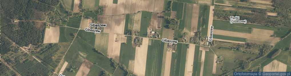 Zdjęcie satelitarne Gibaszew ul.