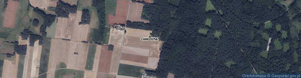 Zdjęcie satelitarne Giełozicha ul.