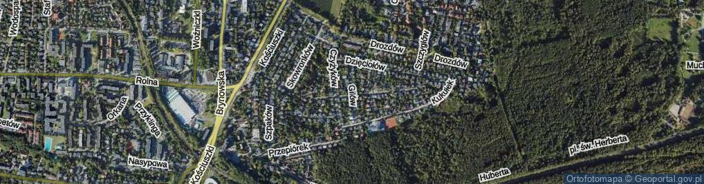 Zdjęcie satelitarne Gilów ul.