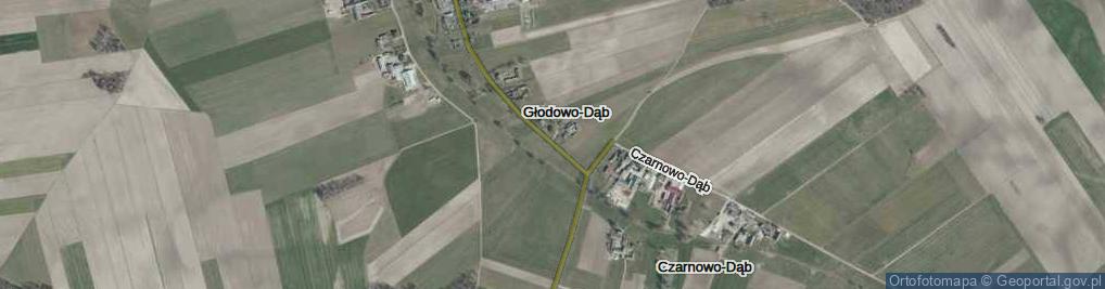 Zdjęcie satelitarne Głodowo-Dąb ul.