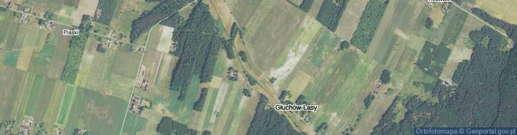 Zdjęcie satelitarne Głuchów-Lasy ul.