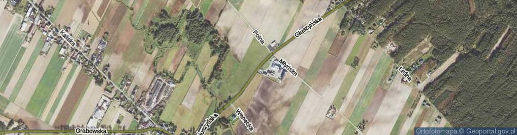 Zdjęcie satelitarne Głuszyńska ul.