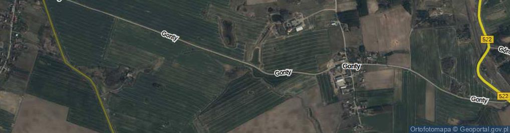 Zdjęcie satelitarne Gonty ul.