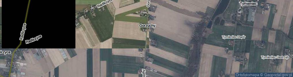 Zdjęcie satelitarne Gorzuchy ul.