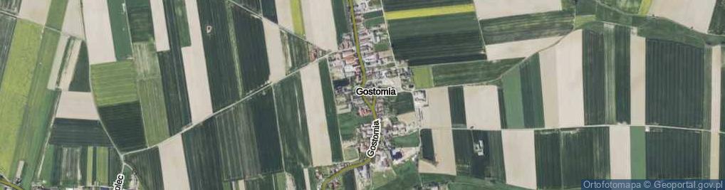 Zdjęcie satelitarne Gostomia ul.