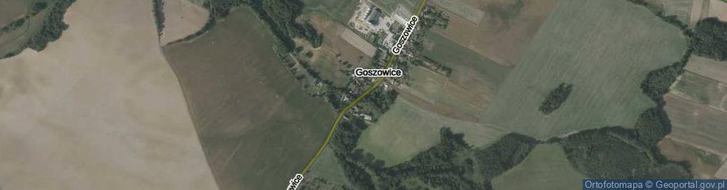 Zdjęcie satelitarne Goszowice ul.