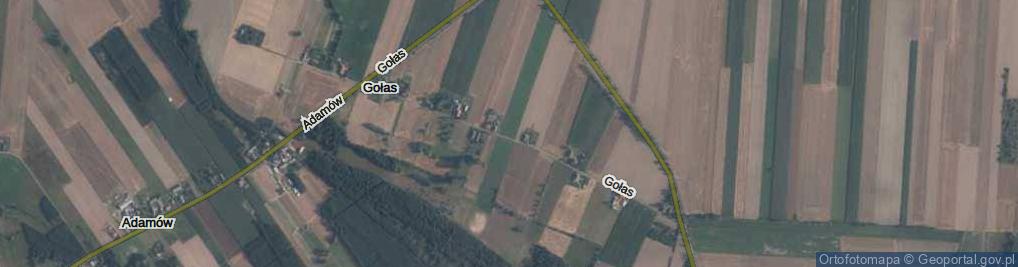 Zdjęcie satelitarne Gołas ul.